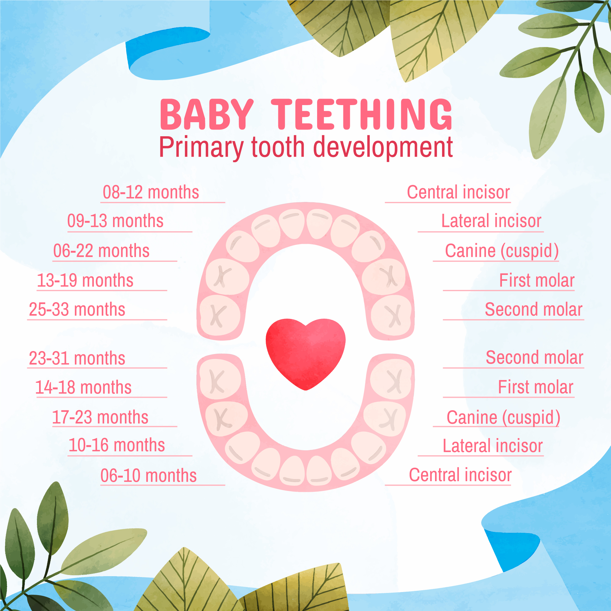 Teething care for babies